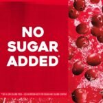 Ocean Spray 100% Juice, Cranberry Juice, 10 Ounce Bottle (Pack of 6) - Image 5